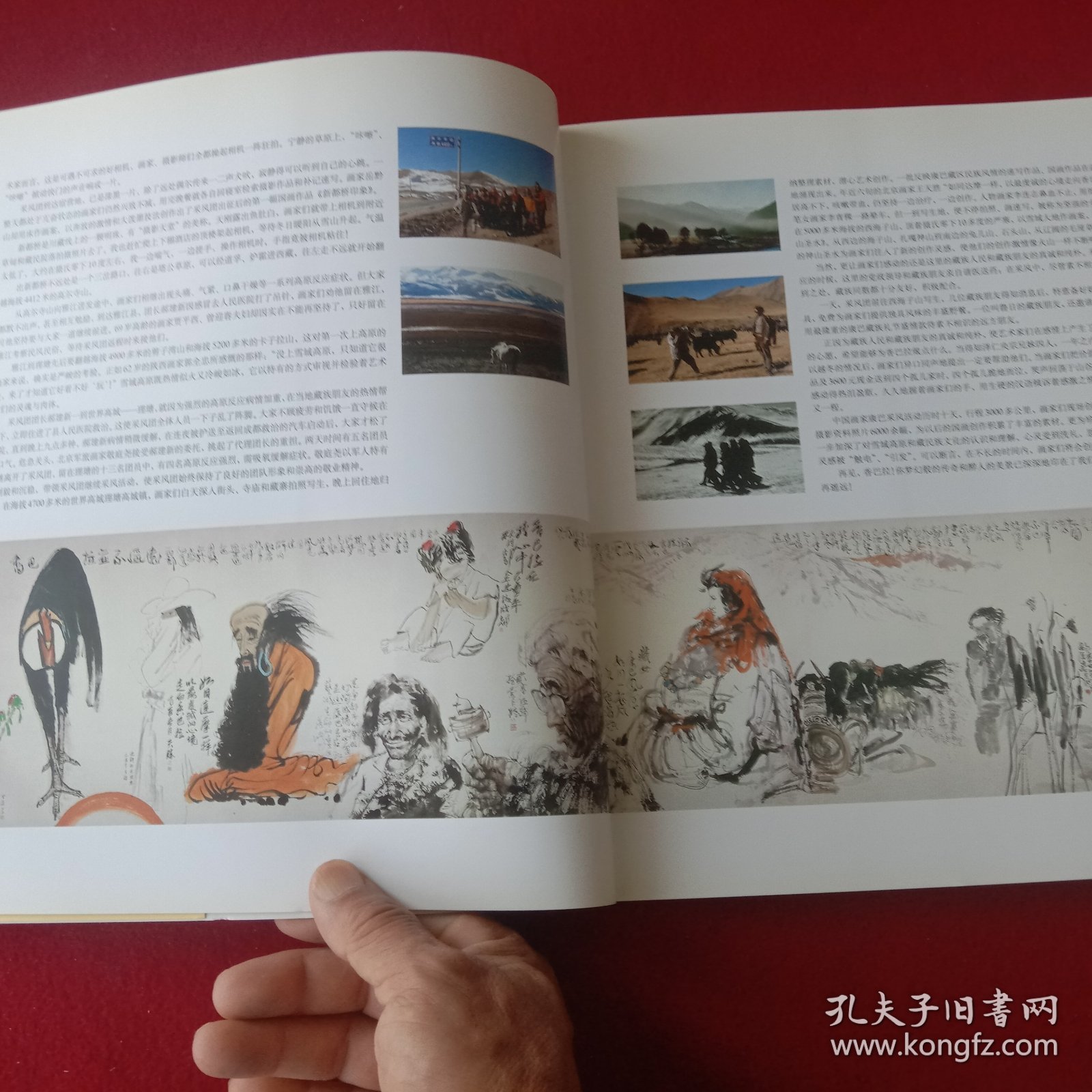 香巴拉并不遥远——中国画家康巴采风作品集。(彩印版，开本:889X1194，1/12)