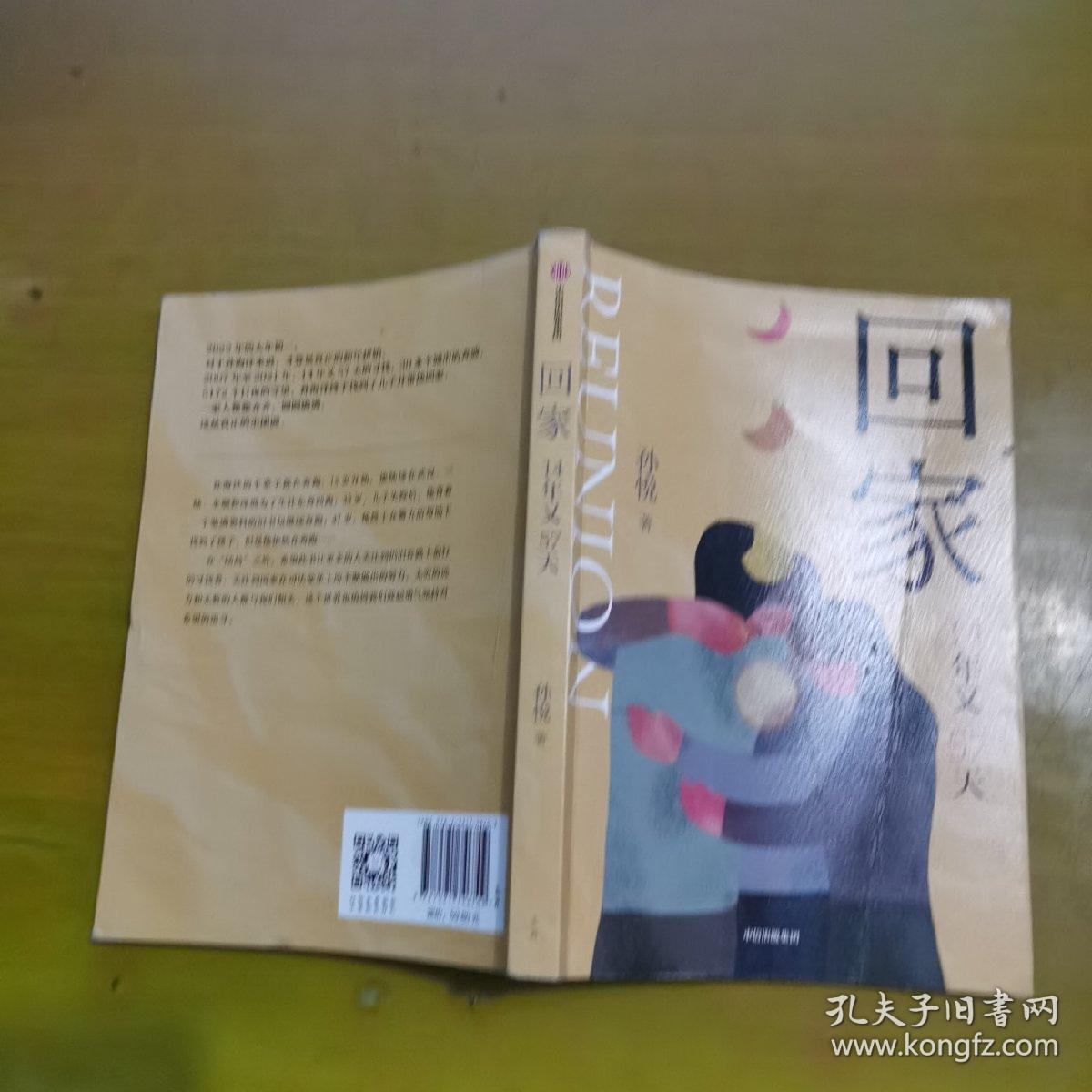 回家（孙悦新书！电影《亲爱的》原型之一孙海洋的漫漫寻子路，传递爱的教育。）