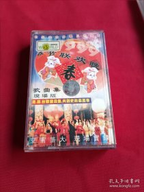 1999年春节联欢晚会磁带 带图片