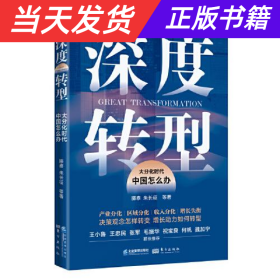 【当天发货】新书--深度转型：大分化时代中国怎么办
