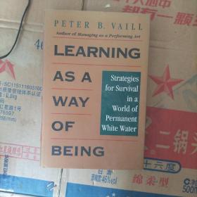 Learning as a Way of Being