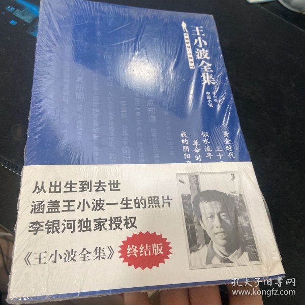 王小波全集（第六卷 中篇小说）：黄金时代 三十而立 似水流年 革命时期的爱情 我的阴阳两界