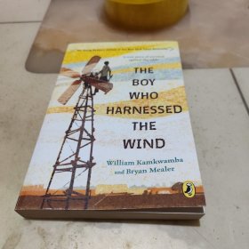 The Boy Who Harnessed the Wind
