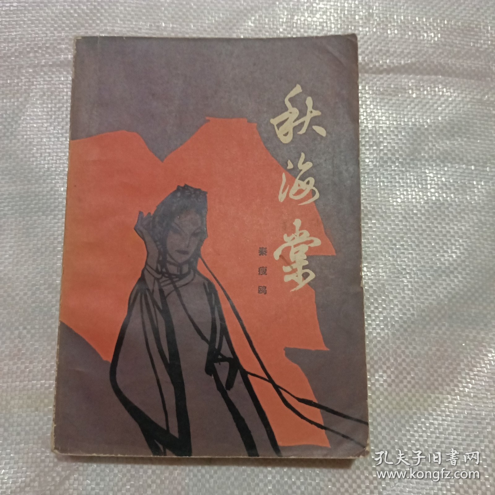 点击查看原图 秋海棠
