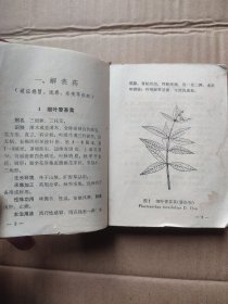 广西中草药（第二册）