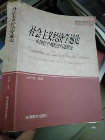 社会主义经济学通论:中国转型期经济问题研究