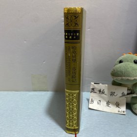 哈克贝里·芬历险记
