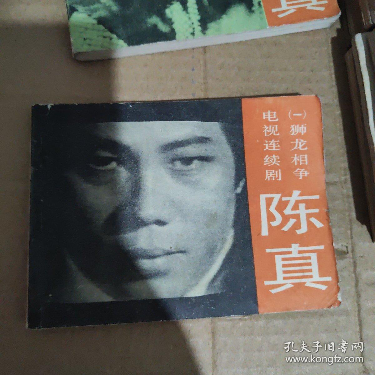 连环画 电视连续剧 陈真1-10