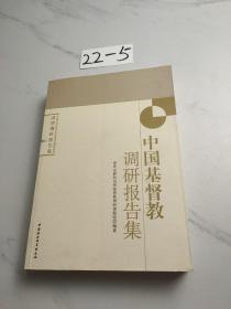 中国社会科学院世界宗教研究所国情调研报告集：中国基督教调研报告集