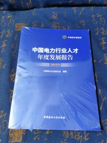 中国电力行业人才年度发展报告2023