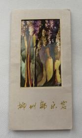 柳州都乐岩游览纪念10张全