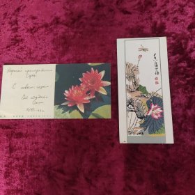 美术贺年卡 睡莲 香溢四海