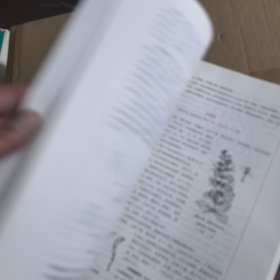 中药鉴定学/全国中医药行业高等教育“十三五”规划教材