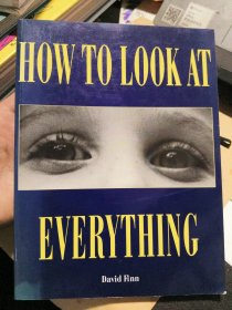 HOW TO LOOK AT EVERYTHING 插图本 全铜版纸
