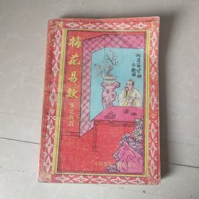 梅花易数（中国国际广播版）