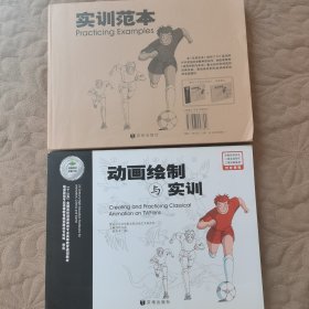 “十二五”全国高校动漫游戏专业高等教育规划教材：动画绘制与实训