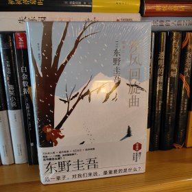 东野圭吾风雪系列（增订版）！