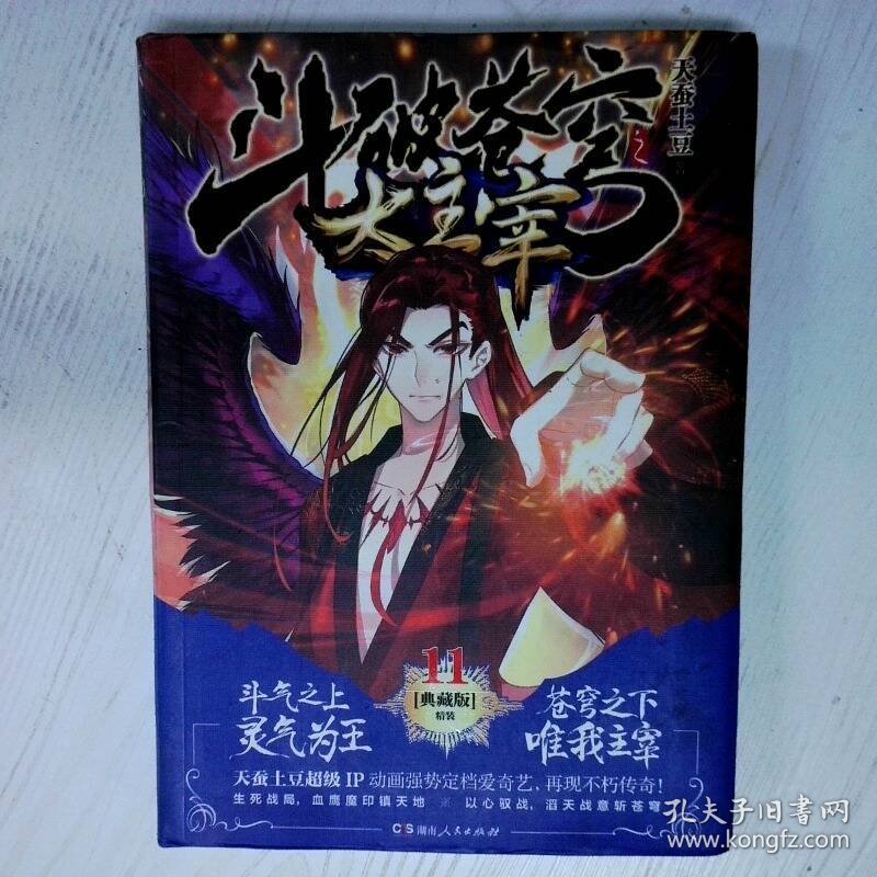 高温消毒发货 斗破苍穹之大主宰11
