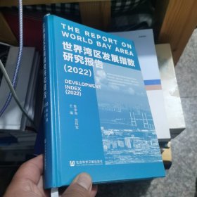 世界湾区发展指数研究报告（2022）