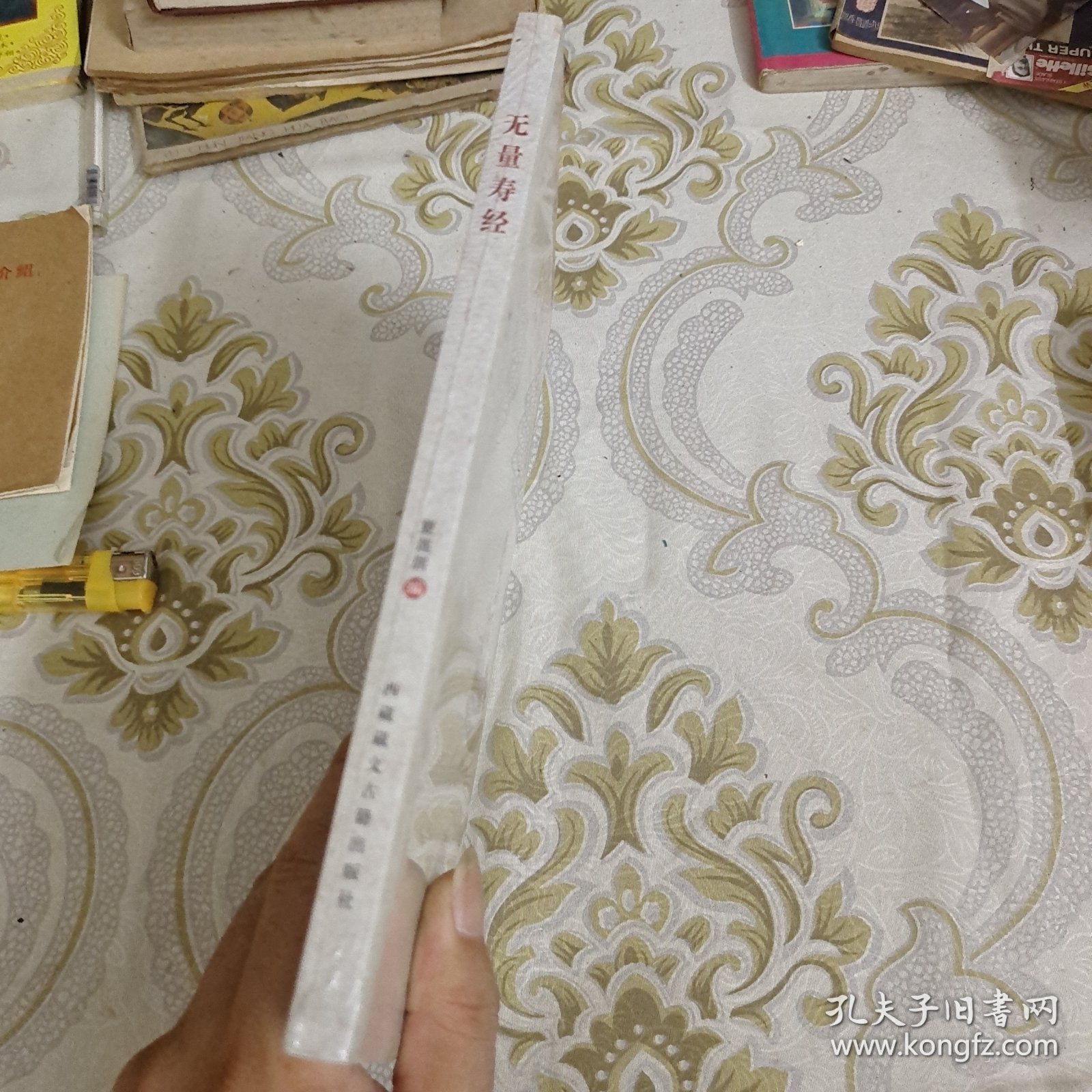 中华传统经典·无量寿经：佛说大乘无量寿庄严清净平等觉经 A8