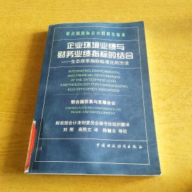 企业环境业绩与财务业绩指标的结合:生态效率指标标准化的方法:联合国国际会计和报告标准:[中英文本]