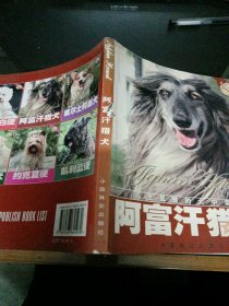 阿富汗猎犬