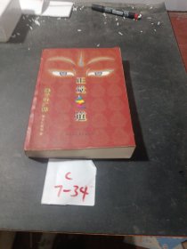 正觉之道·佛子行广释（品如图）