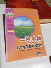 一地多种农作物高效种植模式