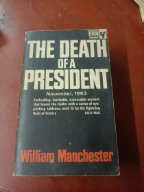 THE DEATH OF A PRESIDENT 总统之死