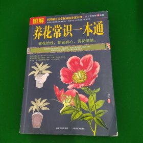 图解养花常识一本通（全方位图解美绘版）