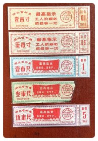 湖北省布票1969年度五种，共5枚（全）～叁市尺缺失右侧副券