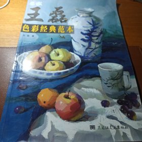 王磊色彩经典范本