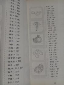 怎样吃素食才营养