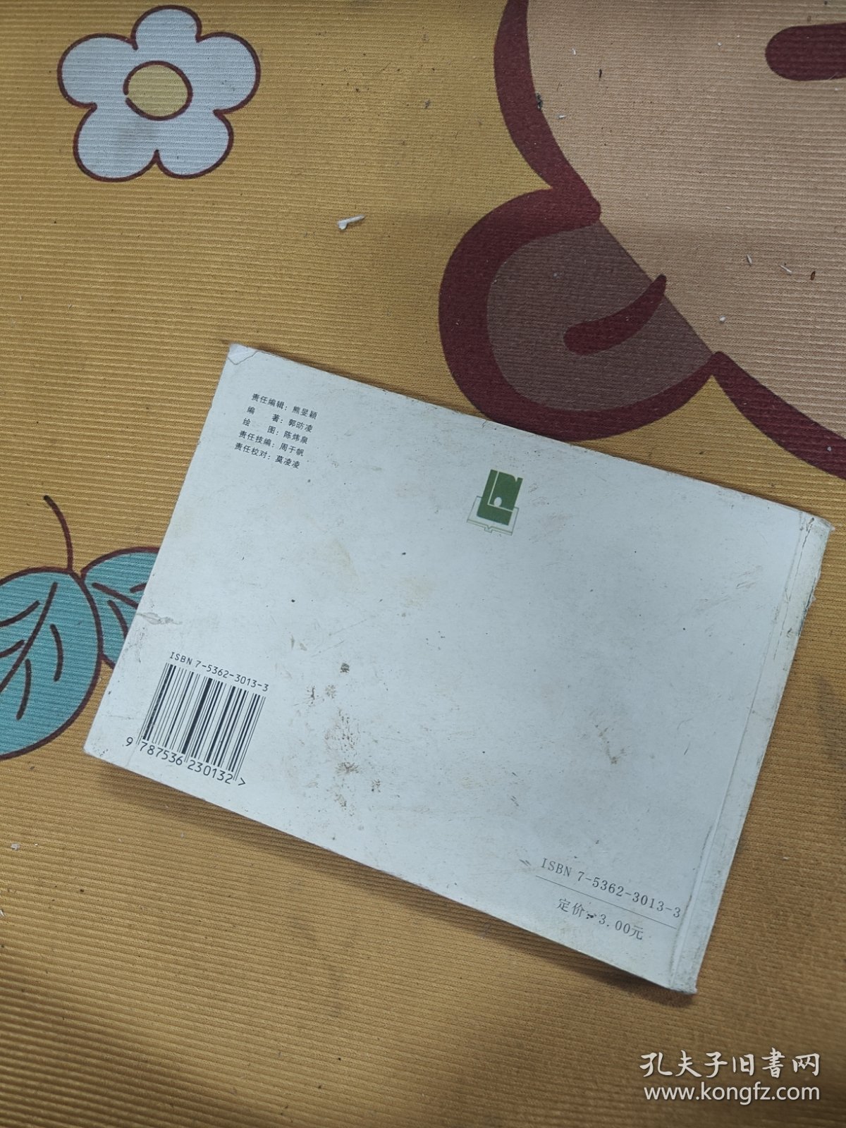 点击查看原图 义勇大队