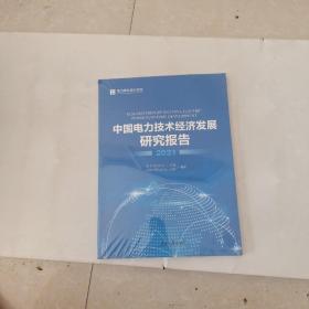 中国电力技术经济发展研究报告