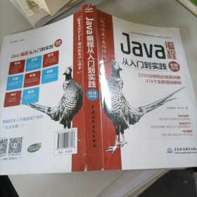 Java编程从入门到实践（微课视频版）