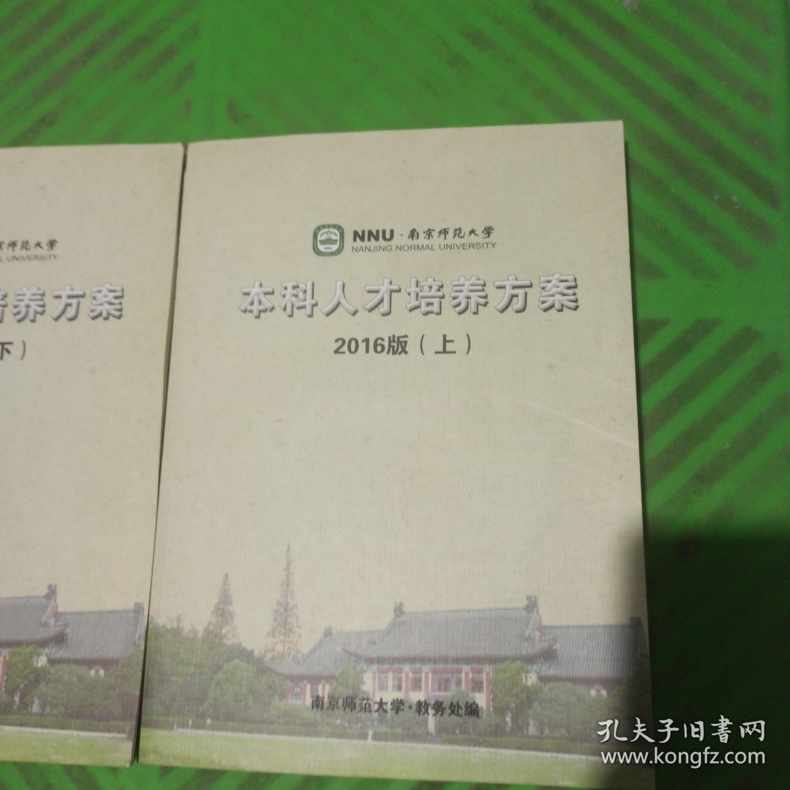 南京师范大学本科人才培养方案（上下）2016版/2本合售