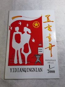 益电青年 总第二期(益阳电业局)