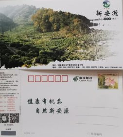 映日荷花邮资明信片，茶，黄山新安源有机茶，茶山，茶园，茶行，茶叶，茶树，新安源有机生态茶园，黄山迎客松