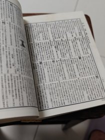 辞海(全二册)