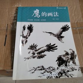 鹰的画法