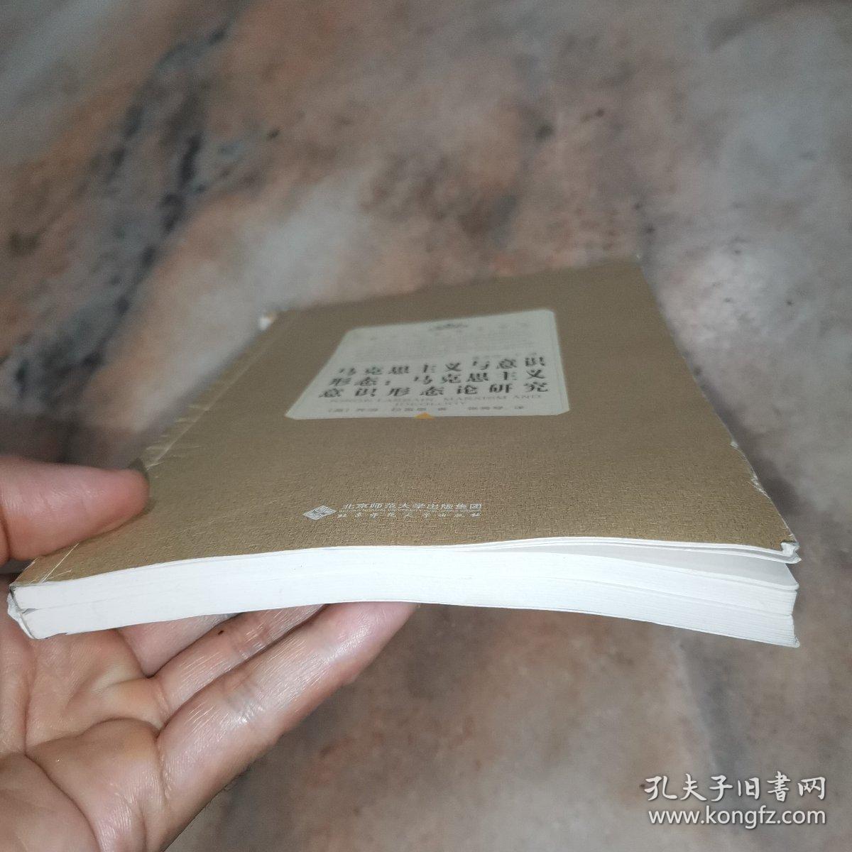 马克思主义与意识形态：马克思主义意识形态论研究