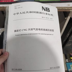 撬装式CNG天然气发电机组减压装置