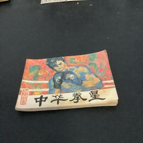 中华拳星