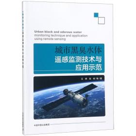 城市黑臭水体遥感监测技术与应用示范