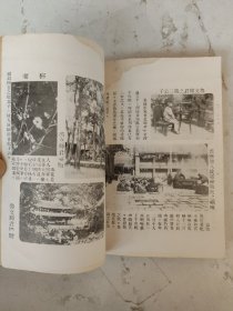 民国26年 家庭周刊（乙种第84期）高景明一家合影/鲁文辉君之第三公子小影等