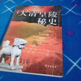 大清皇陵秘史（修订版）