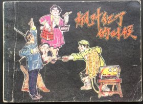 枫叶红了的时候