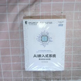 AI嵌入式系统：算法优化与实现