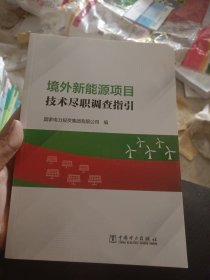 境外新能源项目技术尽职调查指引